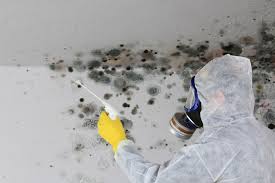 Best Mold Remediation for Healthcare Facilities  in Hawthorne, CA